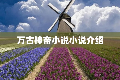 万古神帝小说小说介绍