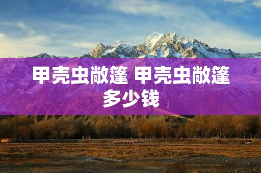 甲壳虫敞篷 甲壳虫敞篷多少钱