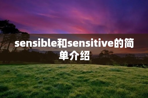 sensible和sensitive的简单介绍 sensible和sensitive的简单介绍