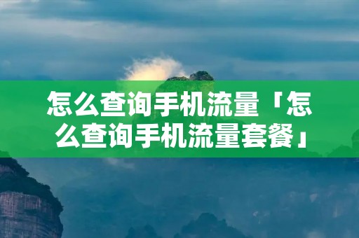怎么查询手机流量「怎么查询手机流量套餐」 怎么查询手机流量「怎么查询手机流量套餐」