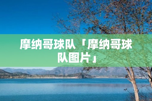 摩纳哥球队「摩纳哥球队图片」