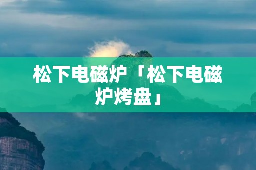 松下电磁炉「松下电磁炉烤盘」