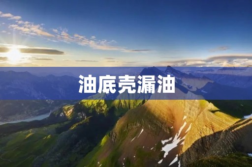 油底壳漏油:原因、影响及解决方法 油底壳漏油:原因、影响及解决方法