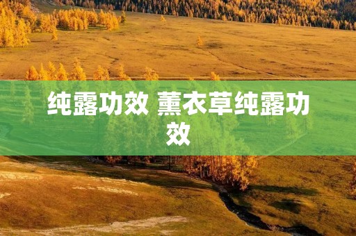 纯露功效 薰衣草纯露功效
