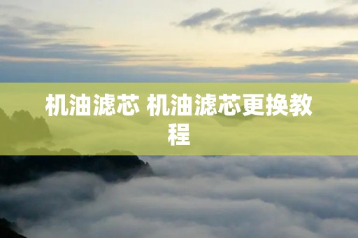 机油滤芯 机油滤芯更换教程 机油滤芯 机油滤芯更换教程