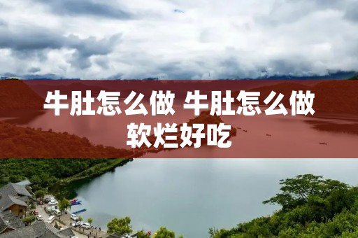 牛肚怎么做 牛肚怎么做软烂好吃