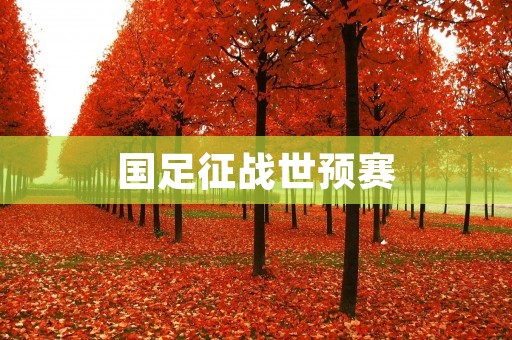 国足征战世预赛：拼搏与挑战的征程