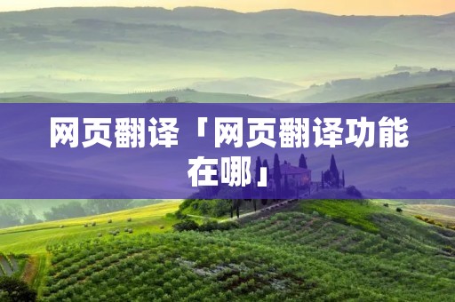 网页翻译「网页翻译功能在哪」