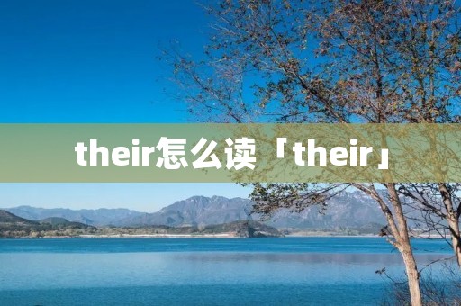 their怎么读「their」