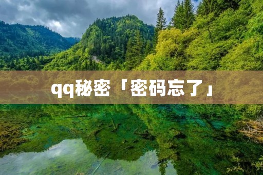 qq秘密「密码忘了」