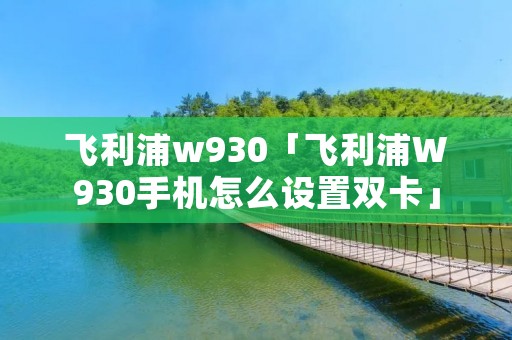 飞利浦w930「飞利浦W930手机怎么设置双卡」