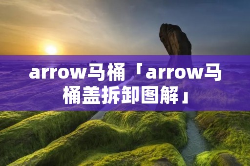 arrow马桶「arrow马桶盖拆卸图解」