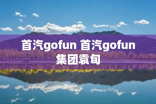 首汽gofun 首汽gofun集团袁旬