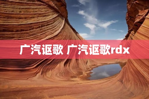 广汽讴歌 广汽讴歌rdx