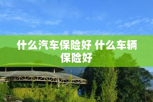 什么汽车保险好 什么车辆保险好
