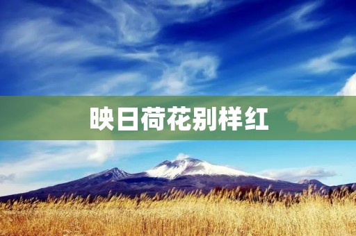 映日荷花别样红:湖畔的美丽画卷