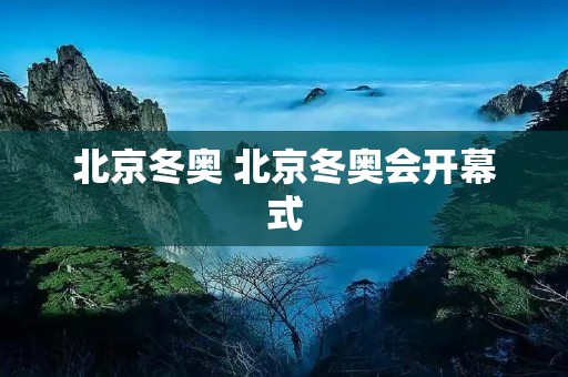 北京冬奥 北京冬奥会开幕式