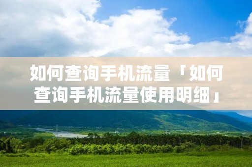 如何查询手机流量「如何查询手机流量使用明细」