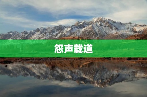 怨声载道:揭秘网络怨言背后的真相