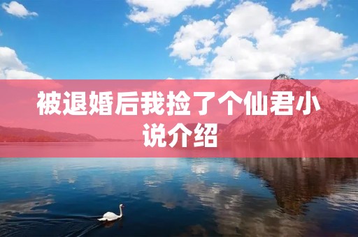 被退婚后我捡了个仙君小说介绍