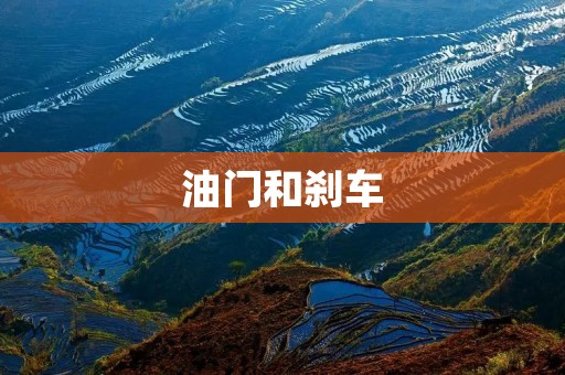 油门和刹车:驾驶中的两个重要控制元素 油门和刹车:驾驶中的两个重要控制元素