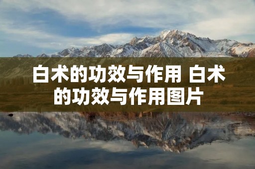 白术的功效与作用 白术的功效与作用图片 白术的功效与作用 白术的功效与作用图片