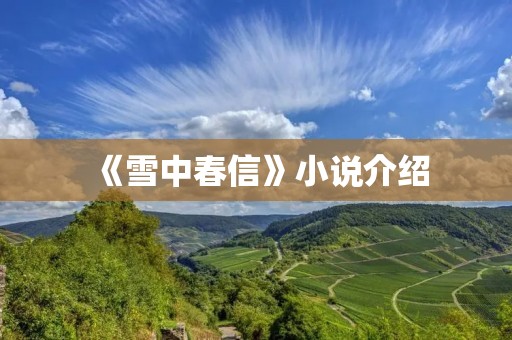 《雪中春信》小说介绍