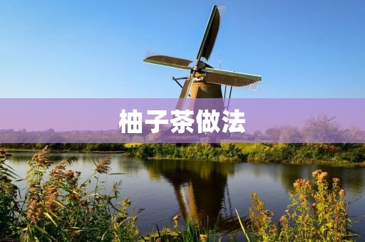 柚子茶做法:口感醇香,养生养颜的佳饮 柚子茶做法:口感醇香,养生养颜的佳饮