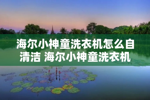 海尔小神童洗衣机怎么自清洁 海尔小神童洗衣机自清洁功能怎么用 海尔小神童洗衣机怎么自清洁 海尔小神童洗衣机自清洁功能怎么用