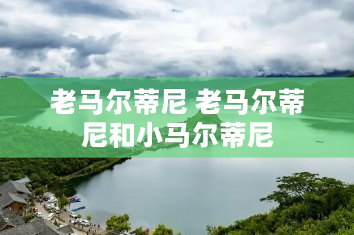 老马尔蒂尼 老马尔蒂尼和小马尔蒂尼