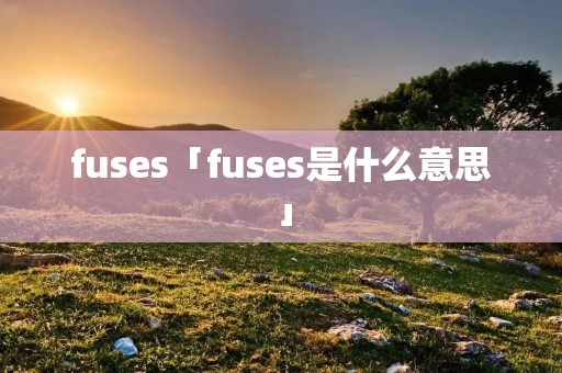 fuses「fuses是什么意思」