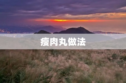 瘦肉丸做法:美味可口的家常料理 瘦肉丸做法:美味可口的家常料理