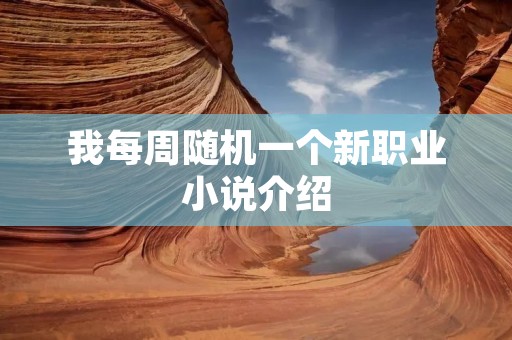 我每周随机一个新职业小说介绍