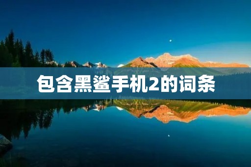 包含黑鲨手机2的词条