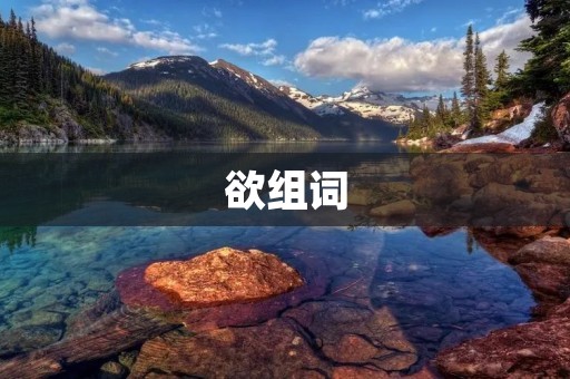 欲组词:欲望、组词