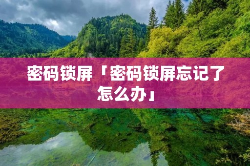 密码锁屏「密码锁屏忘记了怎么办」