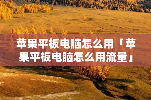 苹果平板电脑怎么用「苹果平板电脑怎么用流量」
