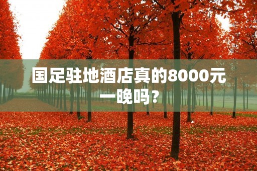 国足驻地酒店真的8000元一晚吗？