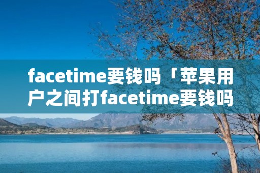 facetime要钱吗「苹果用户之间打facetime要钱吗」