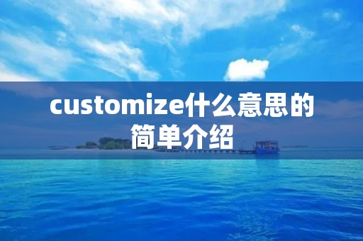 customize什么意思的简单介绍
