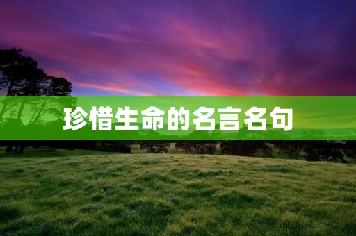 珍惜生命的名言名句 珍惜生命的名言名句