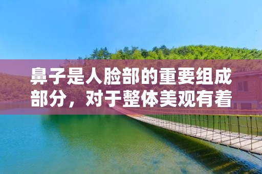 鼻子是人脸部的重要组成部分，对于整体美观有着至关重要的影响。许多人希望能够通过一些方法来改善鼻子的外观，特别是希望能够增高鼻子。本文将介绍一些增高鼻子的方法，帮助读者了解如何实现这一目标。