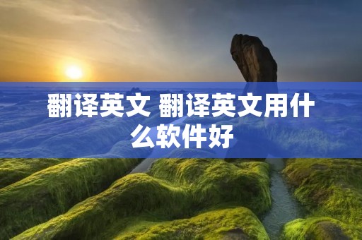 翻译英文 翻译英文用什么软件好