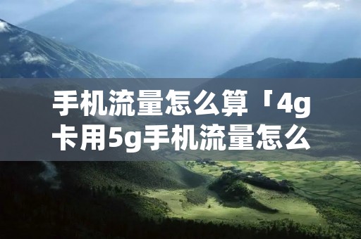 手机流量怎么算「4g卡用5g手机流量怎么算」