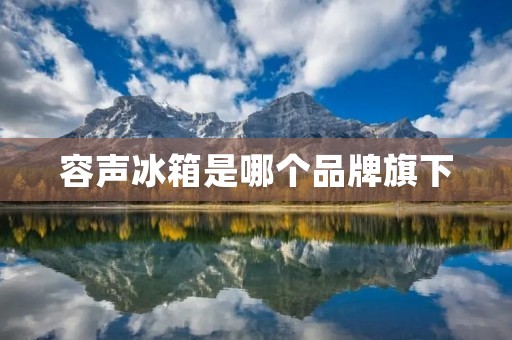 容声冰箱是哪个品牌旗下 容声冰箱是哪个品牌旗下