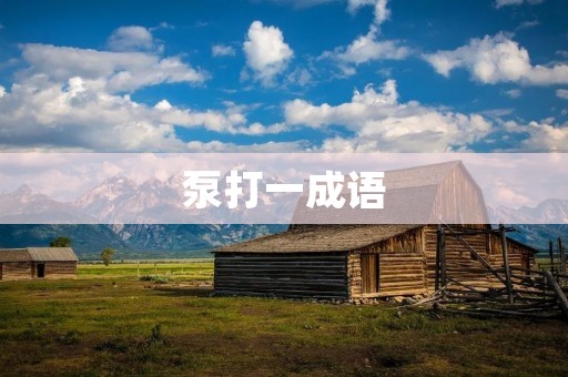 泵打一成语:泵油灌火