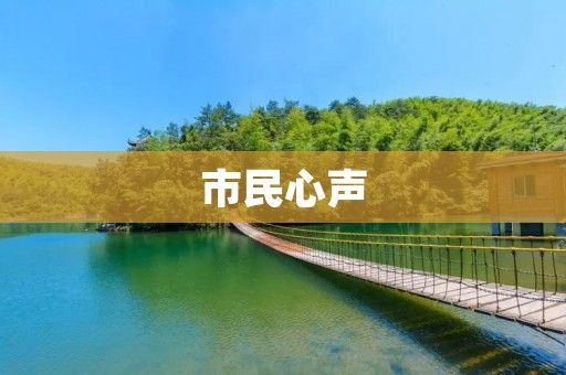 市民心声：社会问题的真实反映与呼唤