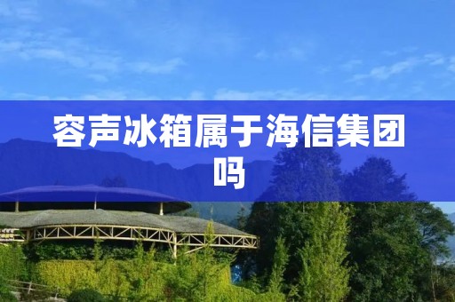 容声冰箱属于海信集团吗