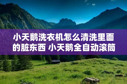 小天鹅洗衣机怎么清洗里面的脏东西 小天鹅全自动滚筒筒自洁教程