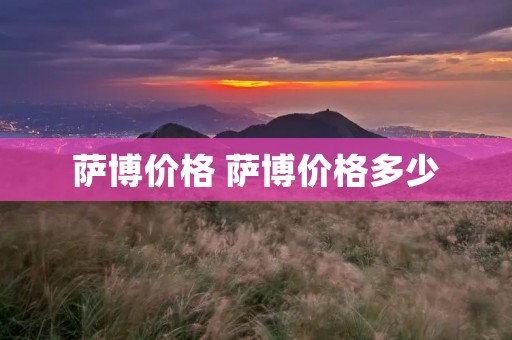 萨博价格 萨博价格多少